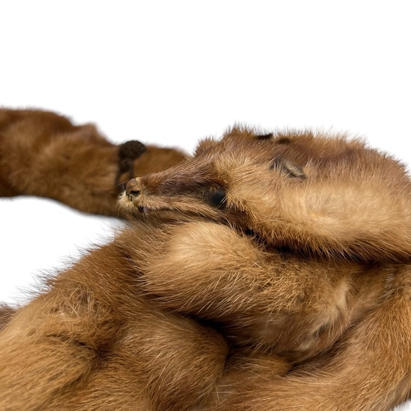 Vtg Frost Bros 4 Pelts Full Body Fur Taxidermy Collar Wrap Scarf Stole Shawl - Picture 3 of 9